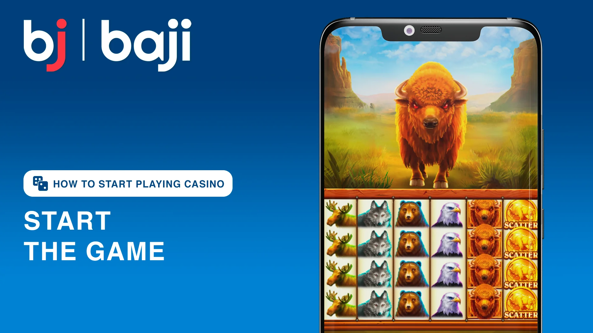 Press 'Play' Button and enjoy your game - Baji